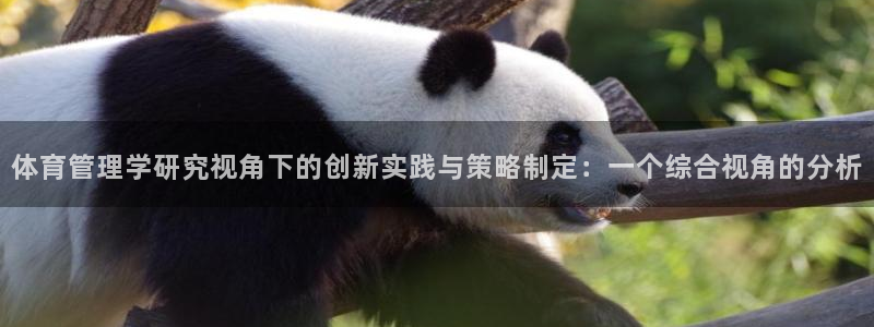 必一体育sport下载：体育管理学研究视角下的创新实践与策略