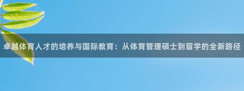 必一体育合法吗：卓越