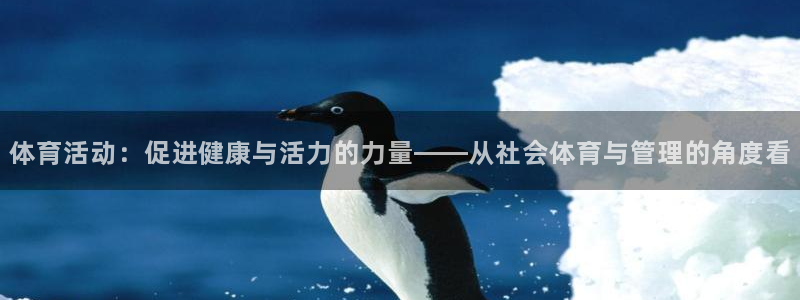 必一体育官方网站入口：体育活动：促进健康与活力的力量——从社