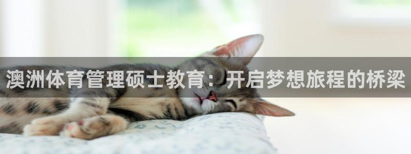 必一体育验证码：澳洲