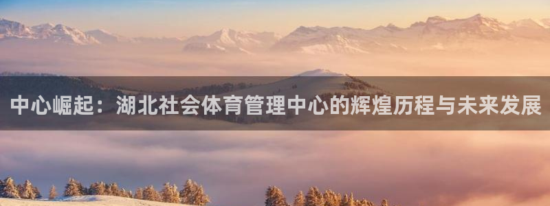 必一体育皮尔斯：中心崛起：湖北社会体育管理中心的辉煌历程与未