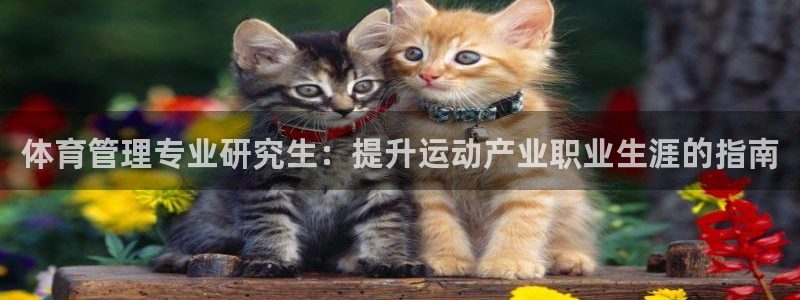 必一体育在哪下：体育