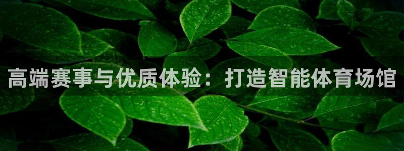 必一体育sport装