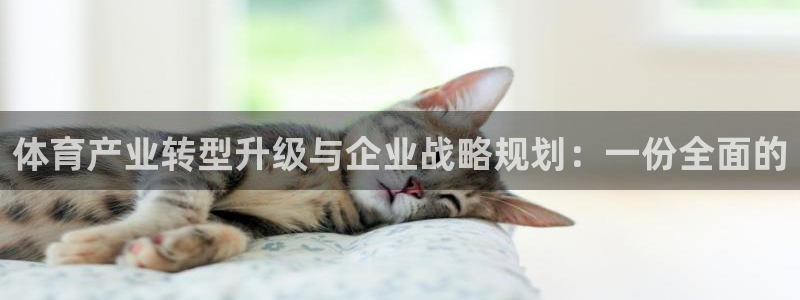 必一体育在线入口：体