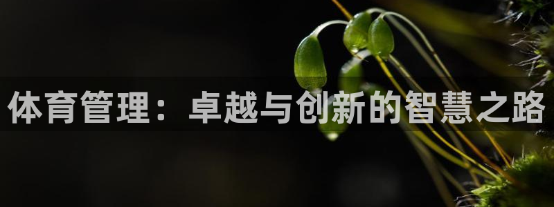 必一体育流水线是什么