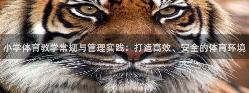 必一体育没了：小学体