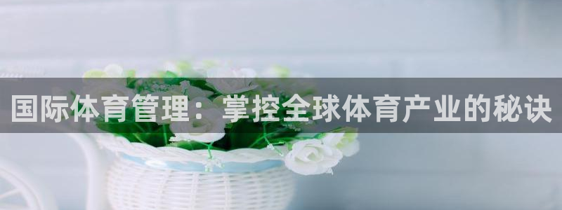 必一体育在哪下