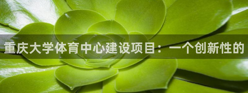 必一运动官网装机吧：