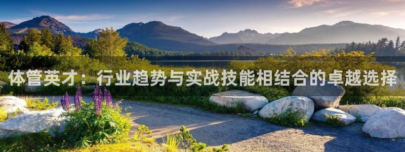 必一体育sport装