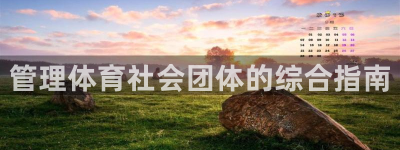 必一运动体育app：