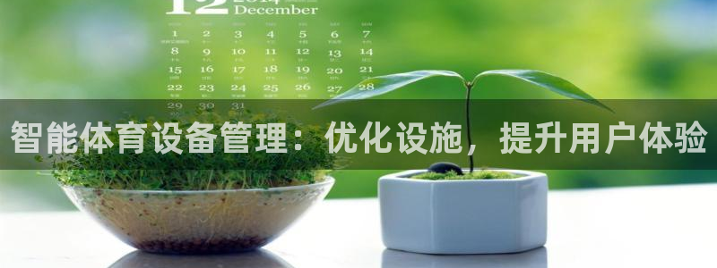 必一体育app下载装机吧