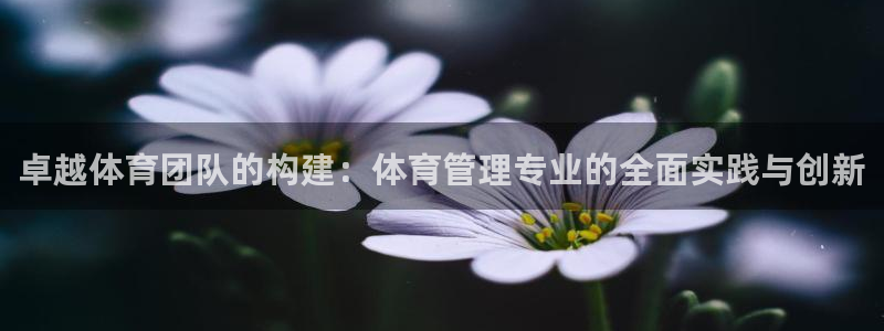 必一体育皮尔斯：卓越体育团队的构建：体育管理专业的全面实践与