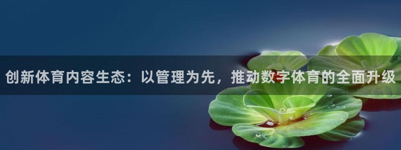 必一体育官网入口：创