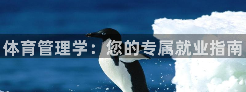 必一体育app官方下