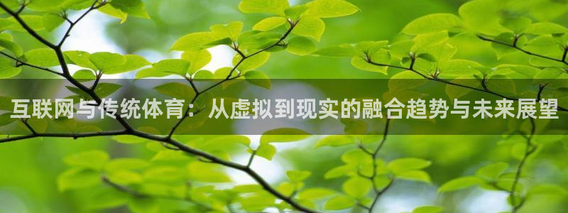 必一体育sport官方网站：互联网与传统体育：从虚拟到现实的