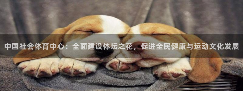 必一体育黑钱：中国社会体育中心：全面建设体坛之花，促进全民健