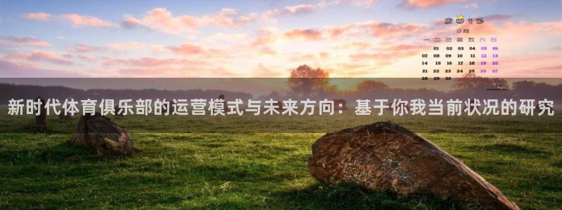 必一体育验证码：新时代体育俱乐部的运营模式与未来方向：基于你