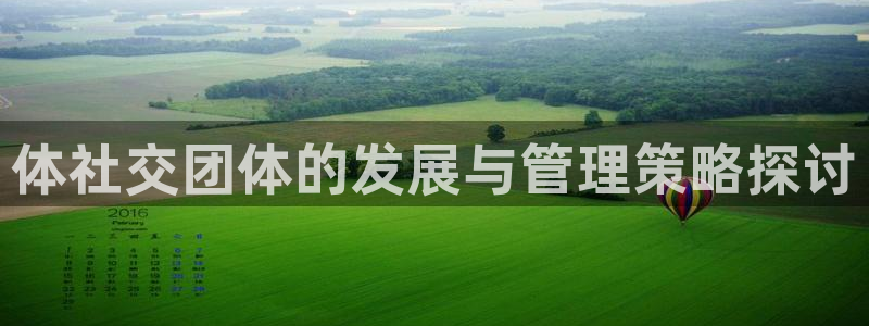 必一体育APP下载安装：体社交团体的发展与管理策略探讨